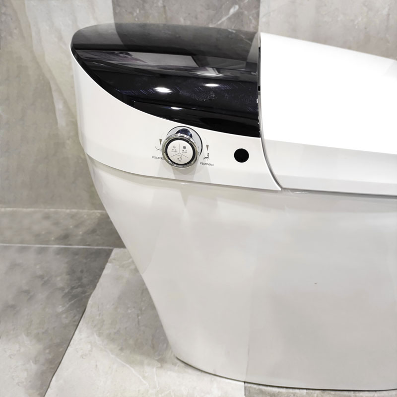 Smart Toilet Prodigy Bathroom Intelligent Electric One Piece Toilets MA-A10
