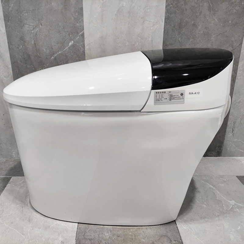 Smart Toilet Prodigy Bathroom Intelligent Electric One Piece Toilets MA-A10